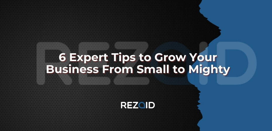 6 Expert Tips to Grow Your Business From Small to Mighty